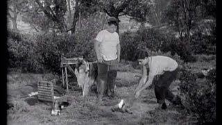 Lassie  Episode 91  quotSurvivalquot Season 3 26 03031957 [upl. by Wilmette]