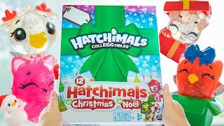 Hatchimals Colleggtibles 12 Hatchimals of Christmas Advent Calendar [upl. by Layne]