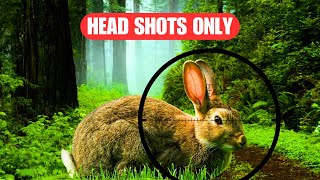 Air Rifle Shooting Rabbits  Heads Go TWACK [upl. by Tertius323]