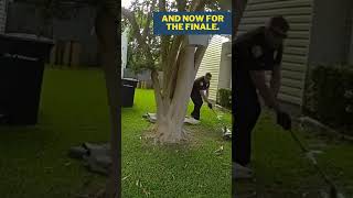 Tallahassee Police Wrangle Alligator [upl. by Saunderson726]