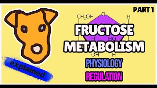 FRUCTOSE Metabolism Pathway for Step 1 Biochemistry [upl. by Odlaniger]