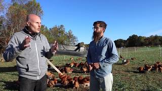 The BEST Pastured Poultry System Out There  Truly Free Range [upl. by Joeann]