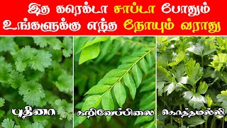 புதினா கறிவேப்பிலை கொத்தமல்லி பயன்கள்  Healthy Leaves to Eat  Tamil Health Tips  Healthy Tips [upl. by Driscoll256]