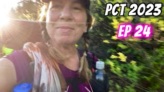 PCT 2023 EP 24  Hiking Through Heat Snow amp Mosquitoes to Ash Campground ⛺️ [upl. by Ericksen]