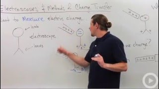 Charge Transfer  Electroscope [upl. by Lebiram649]