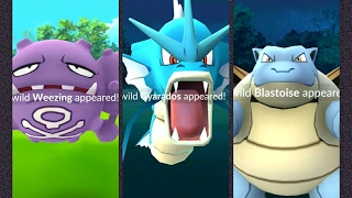 Pokémon GO Rare catches Wild Gyarados Weezing Blastoise 10k 5k amp 2k Egg Hatchings [upl. by Puklich]