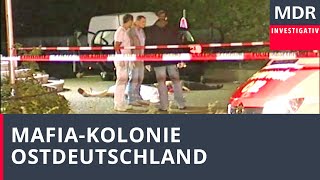 MafiaKolonie Ostdeutschland  Doku [upl. by Nohtiek947]