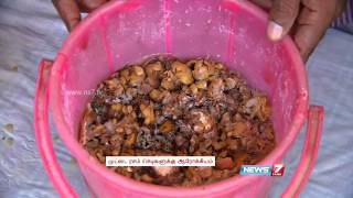 Natural Grasshopper Control  Muttai Rasam for Healthy Plant Growth  Poovali  News7 Tamil [upl. by Annahsar]