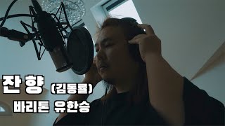 오페라가수가 부르는 김동률의 잔향Reverberation Cover by Hansung Yoo [upl. by Vitale]