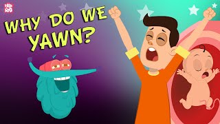 Why Do We Yawn  The Dr Binocs Show  Best Learning Videos For Kids  Peekaboo Kidz [upl. by Ahsata]