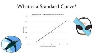 What is a Standard Curve [upl. by Hauger930]