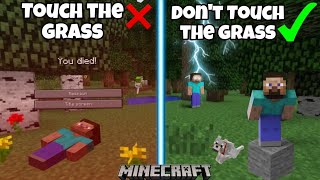 Dont Touch The Grass 😱 Minecraft challange minecraft Must Watch [upl. by Rand]