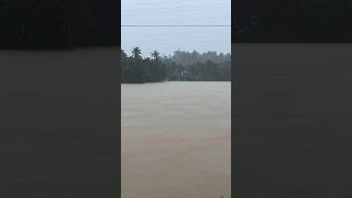 Wayanad flood 2024😱flood kerala [upl. by Him]