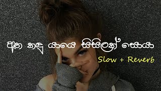 Oya Muwe Hasarel ඔය මුවේ හසරැල්  Slow  Reverb supunzstudio [upl. by Sublett]