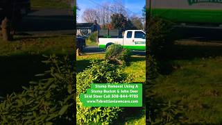 Stump Removal Ma  Tybrettlen landscaping  5088449785  wwwTybrettlenlandscapingcom [upl. by Ellezaj]