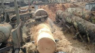 Debarker vs Hickory log sawmilllogging video [upl. by Armand]