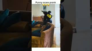 The end 😂 prank dog cat pet animals prankpet catanddog foryoufunny pets 🇫🇷 [upl. by Ahtela]