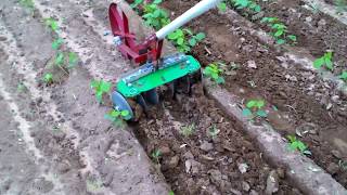 Easy Make Inter cultivator for vegetable and weed control [upl. by Patrizia405]