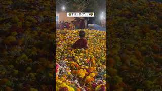 The boyes 😂🤣navaratripuja bathukammafestival bathukammasong2024 viralvideo viralshort short [upl. by Ecienaj278]