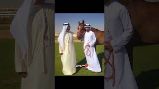 Fazza Shaikh Hamdan fazza king of Dubai fazza official page publicfazzaNewEnglish translationpoem [upl. by Rosen]