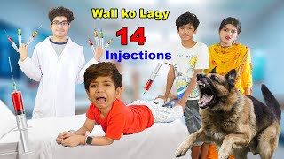 Wali ko Lagy 14 injections  Kutte ne kat lia 😭 MoonVines [upl. by Sabella426]