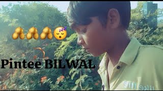 Pintee BILWAL [upl. by Dadinirt]