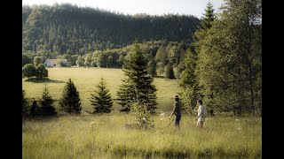 Les montagnes du Jura un trésor naturel français méconnu [upl. by Lacie]