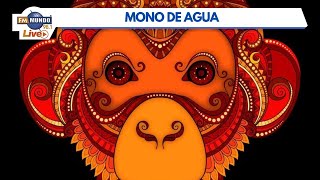 Energías para el mes del mono de agua  Café Fm Mundo [upl. by Anairt]