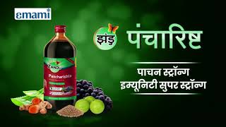 Zandu Pancharishta Ayurvedic digestive tonic [upl. by Wenda567]