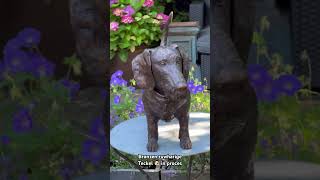 Bronzen ruwharige Teckel 🐾❤️ teckel teckellove teckels hondenbeeld dogartist dachshund dog [upl. by Aronow]