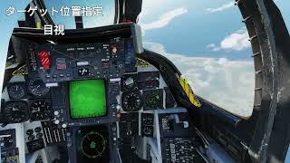 DCS WORLD F14 JESTER Tutorial 1 レーザー誘導爆弾 [upl. by Viguerie]