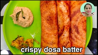 Perfect hotel style Dosa batter recipe in Telugu [upl. by Torrie]