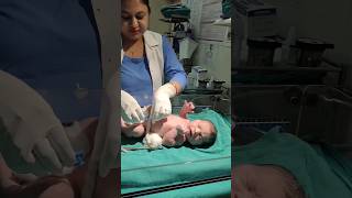 cord clamping and cutting after deliverynewborn babyshortsvideo [upl. by Nerrual]