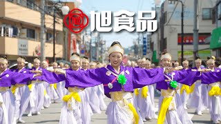 旭食品 2024 第71回高知よさこい祭り 金賞 〜フジイロ〜 【4K】 [upl. by Vastha]