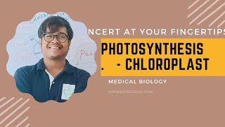 Neet Biology  The Chloroplast Evolution Saga [upl. by Carena]