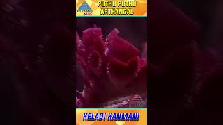 Keladi Kanmani Video Song  Pudhu Pudhu Arthangal Movie  Ilaiyaraaja  Rahman  Sithara  YTShorts [upl. by Cobb]