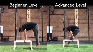 What are PBars 14 calisthenics exercises and Parallettes flow included [upl. by Tratner440]