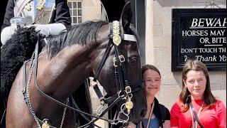 quotTrotting Tumbles A Riotously Funny Day at Horse Guard HorseGuard LondonGiggles LondonLive [upl. by Harrad]