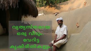 Documentary about Padma Shri Winner Cheruvayal Raman Wayanad  Guardian of The Native Paddy [upl. by Nosiddam]