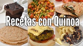 6 FORMAS DE COCINAR QUINOA que necesitas hacer ya 🤤  VIDA VEGANA [upl. by Bicknell]