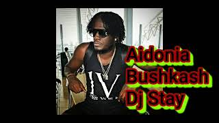 Aidonia Bushkash Clean Version Power Cut Riddim [upl. by Ycniuqal]