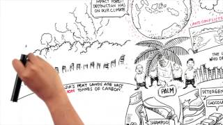 Protect Paradise An Animation about Palm Oil [upl. by Ursel606]