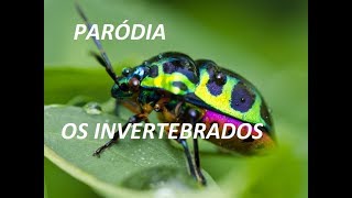 parodia invertebrados  proftanio [upl. by Alekehs]