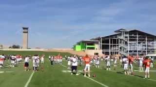 Britton Colquitt dancing during warmups on Day 5 of Broncos camp [upl. by Atinit944]