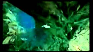 Ecco the Dolphin Sega Dreamcast  Retro Video Game Commercial  Ad [upl. by Nomihs]