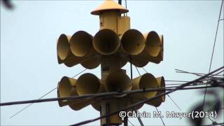 Walbridge OH Federal 3T22 Siren Test 9614 [upl. by Neih]