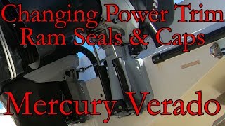 Changing Mercury Verado Power Trim Caps Seals amp Rams [upl. by Noryk]