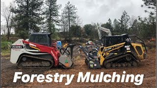 Top skid steer TAKEUCHI TL12 vs ASV RT120 FORESTRY PACKAGE [upl. by Rai]