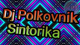 Dj PolkovnikДиджей Полковник  Sintorika [upl. by Lefty545]