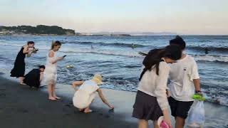 A beautiful evening at Enoshima sea beachKanagawa Japan জাপানের সাগর তীরে একটা সন্ধ্যা। Enoshima [upl. by Llenehc]